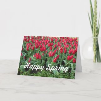 Happy Spring Treats Gift Ideas