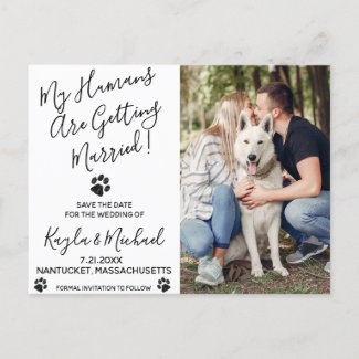 Funny Wedding Save the Date Invitation Cards